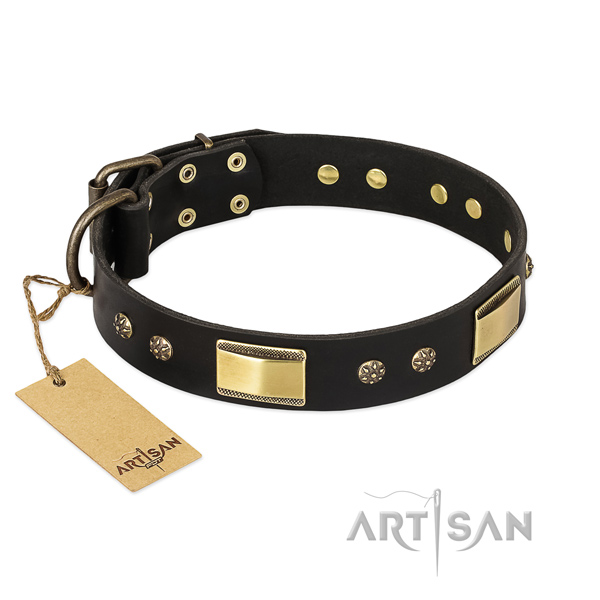 Hundehalsband mit golden Verzierungen aus Messing