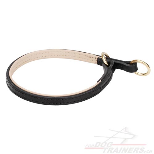 Collier double cuir pour chien