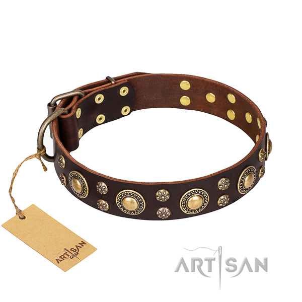 Collier de haute qualit pour chien