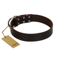 Simple design Wide Brown Leather Collar