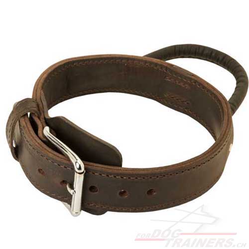 Collier avec poigne en cuir pour chien