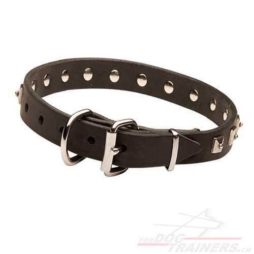 Collier de grande qualit pour chien