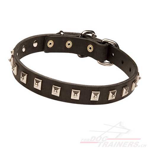 Collier fait main pour chien