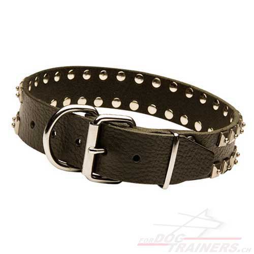 Collier d'une longue dure de vie pour chien