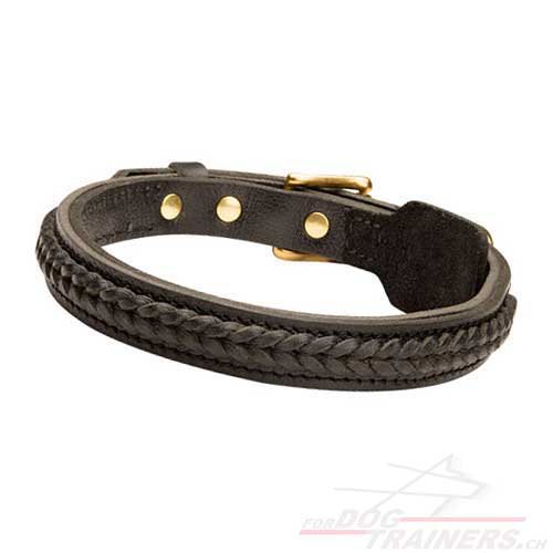 Collier de promenade solide pour chien