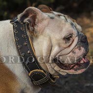 Nappa Leder Hundehalsband mit Spikes Kreatives Design