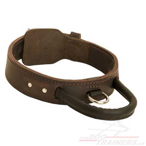 Collier en cuir pour chien de grande taille