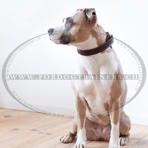 Collier de grande rsistance pour gros chien