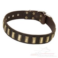 Exklusives Hundehalsband mit Vernickelten Platten ✓