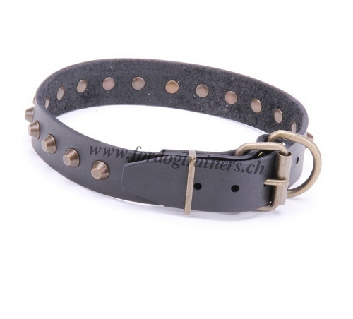 Collier en meilleurs matriaux pour Bull Terrier - cuir
et laiton