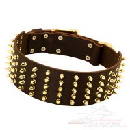 Hunde Lederhalsband mit Spikes aus Messing Extra Breit