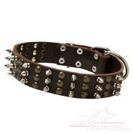 Exklusives Hundehalsband mit Spikes Beschlgen