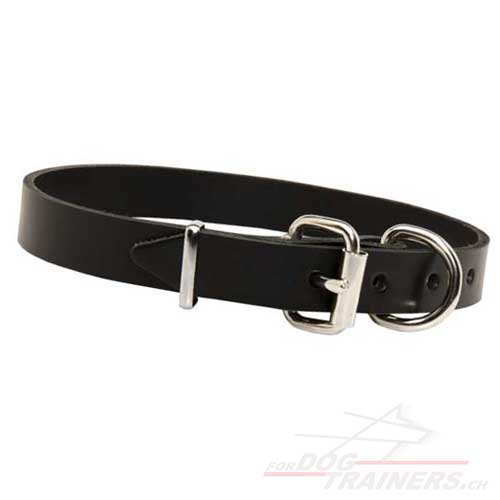 Collier simple et joli pour chien