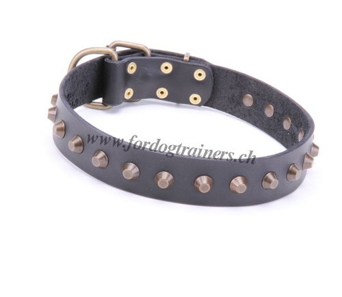 Collier en cuir de grande qualit pour Bull Terrier