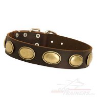 Leder Hundehalsband mit Vintage Plaquen Hohe Qualitt