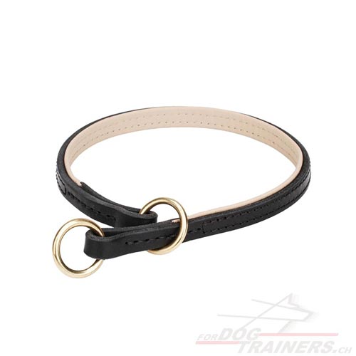 Collier pour chien dsobissant