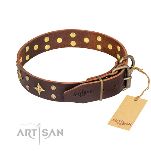 Collier de qualit pour chien