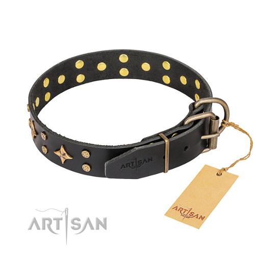 Collier  la mode pour chien