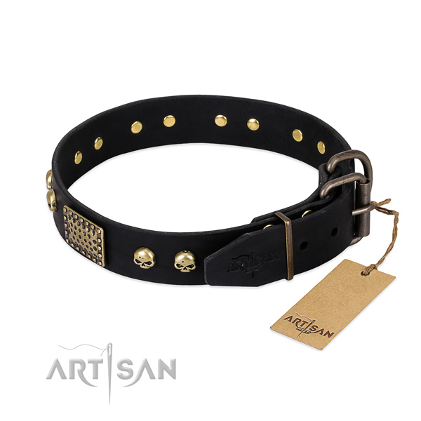 Mehrzweckhalsband fr Hunde, Leder