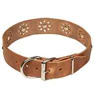 Collier en cuir pour chien Premium Qualit