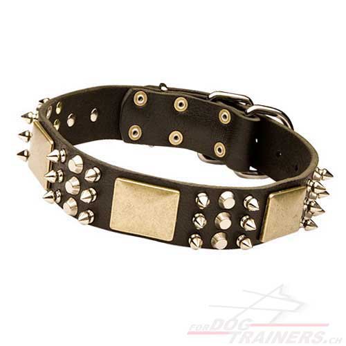 Collier classe pour gros chien ou moyen