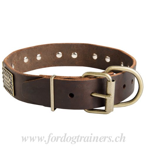 Collier dcor pour gros chien