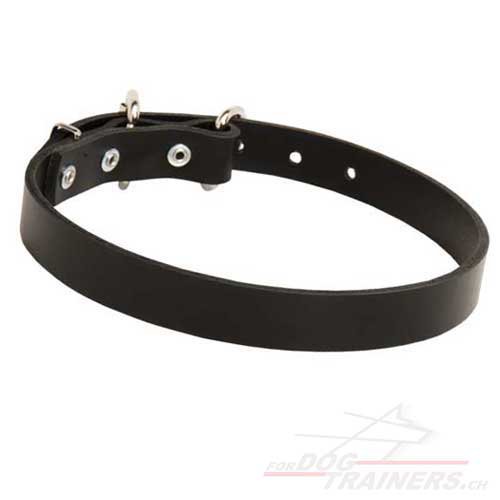 Collier de qualit pour chien