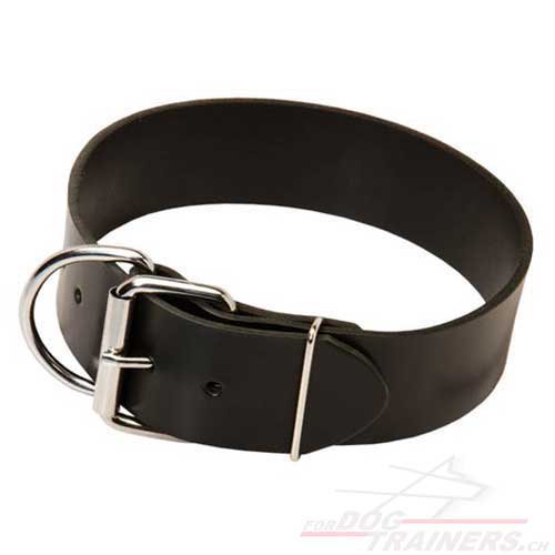 Collier d'entranement pour chien