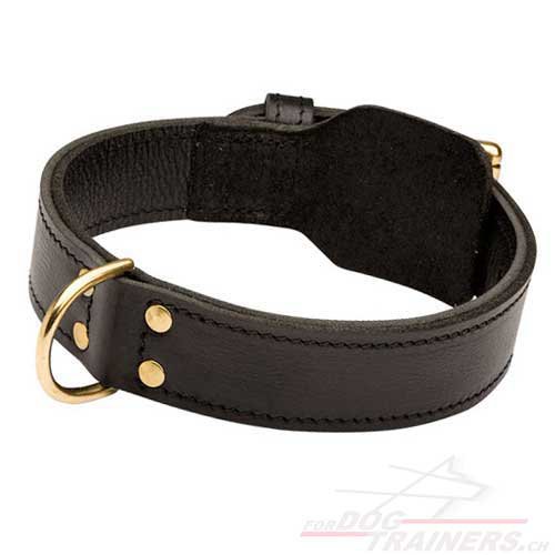 Collier en cuir pour chien de grande taille ou moyenne