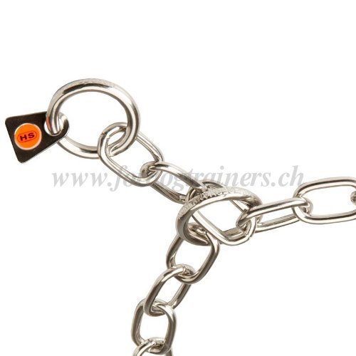 Collier chane inox pour chien