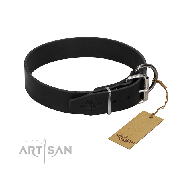 Collier en cuir pour chien de travail