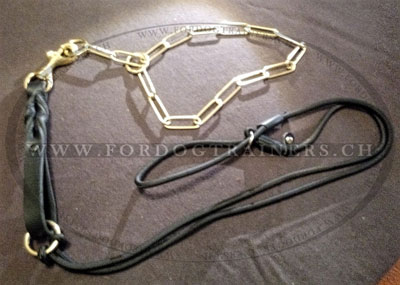 Laisse en cuir pour gros chien et collier coulissant