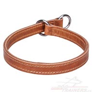 Collier pour duquer votre chien