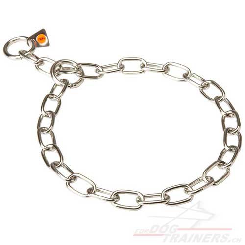 Collier en inox pour chien