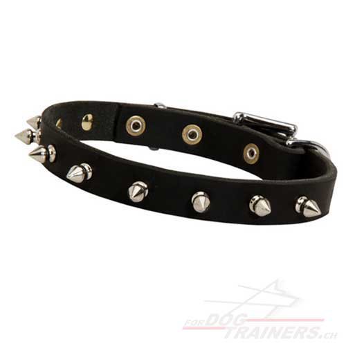 Collier en cuir pour chien de toutes tailles