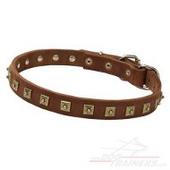 Collier en cuir pour toutes les races de chiens