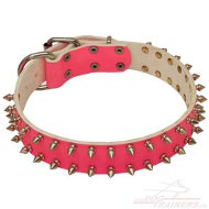 Collier en cuir rose clout pour chienne