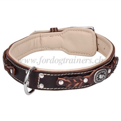 Collier double cuir pour chien