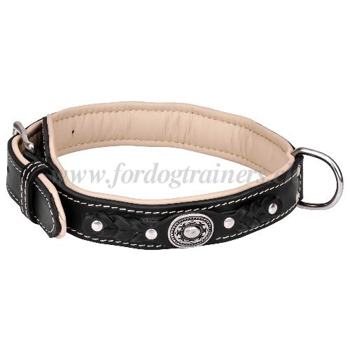 Collier en double paisseur de cuir pour chien