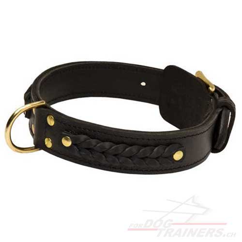 Collier en cuir confort pour chien de
Tervueren