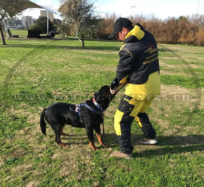 costume de sport canin pour dresseur