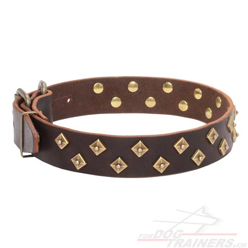 Collier en cuir pour chien Promenades & Obissance