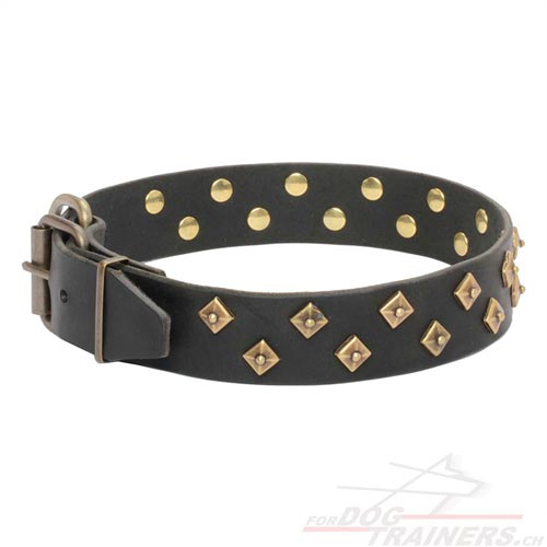 Collier pratique et lgant pour chien