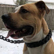 Fashion Braided Choke Collar for American Bulldog / Amstaff