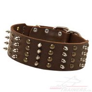 Breites Leder Hundehalsband mit Spikes und Nieten