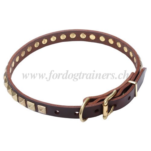 Collier en cuir solide pour chien