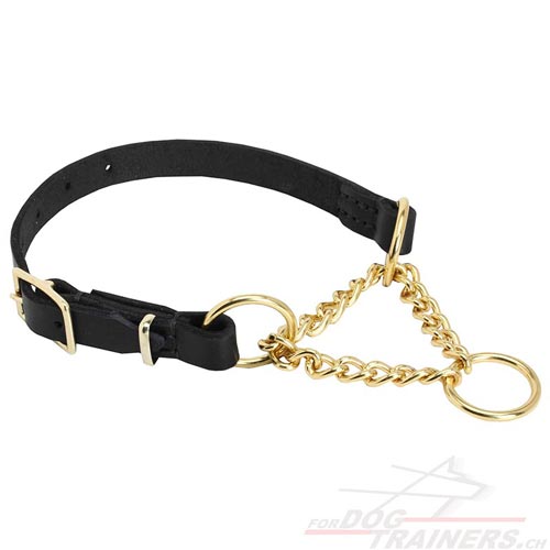 Collier martingale en cuir pour chien