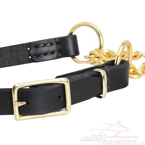 Collier pour meilleur contrle de son chien