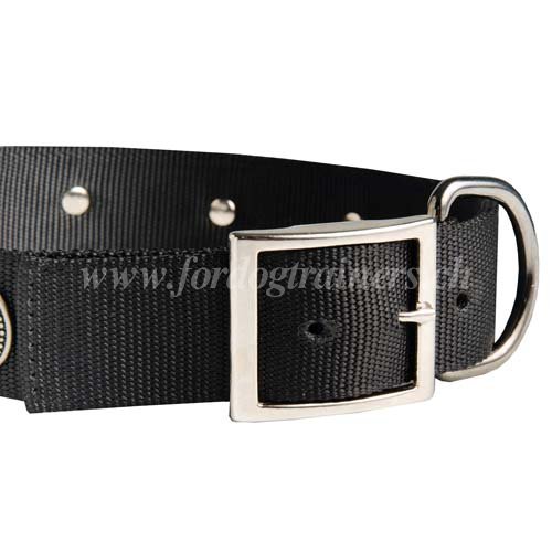 Collier en polyester pour chien