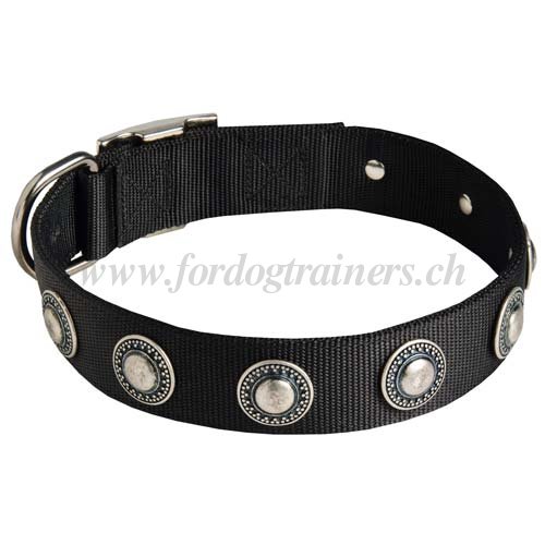 Collier en nylon multifonctionnel pour chien